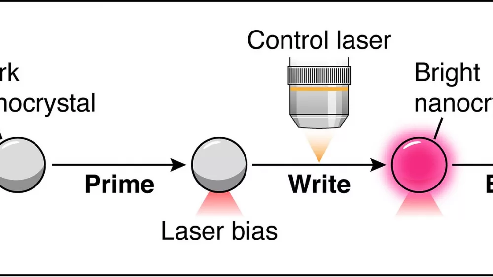 54236773049_bd4ca341e3_k339718