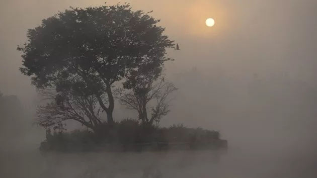 g_freshwater_010825766473