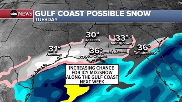 n_gulfcoastweather_011725539875