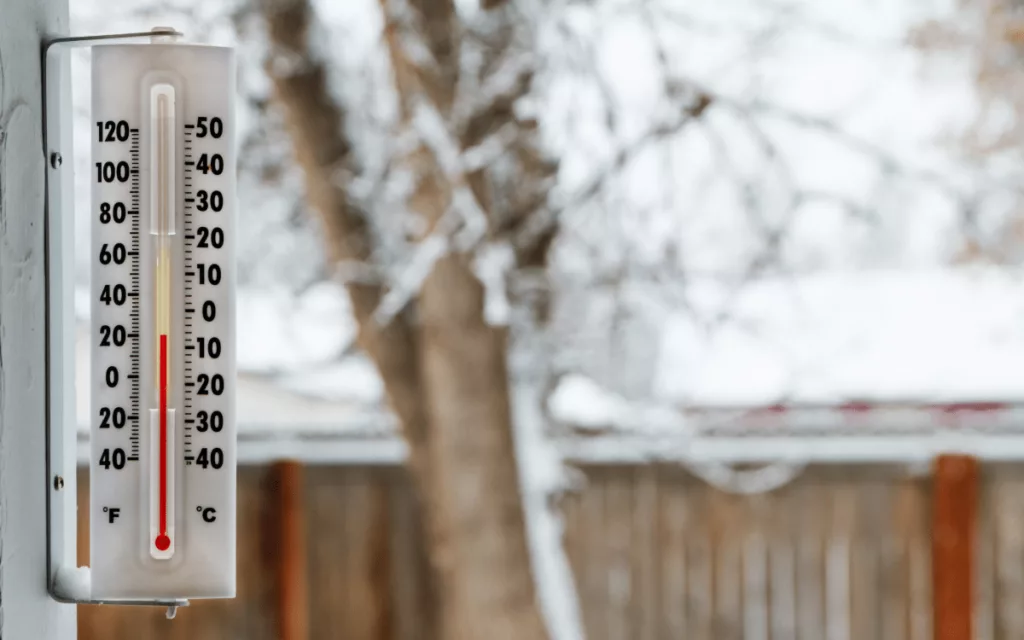 cold105785