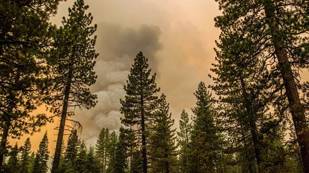 gettyimages_wildfiresmoke_081321918755