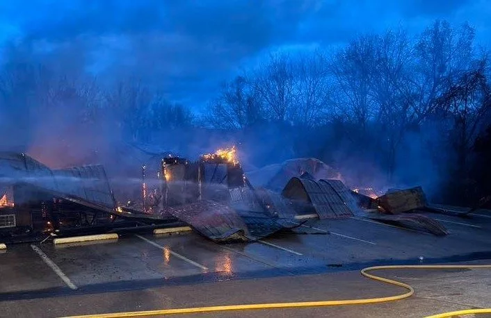 pinewood-featured634774