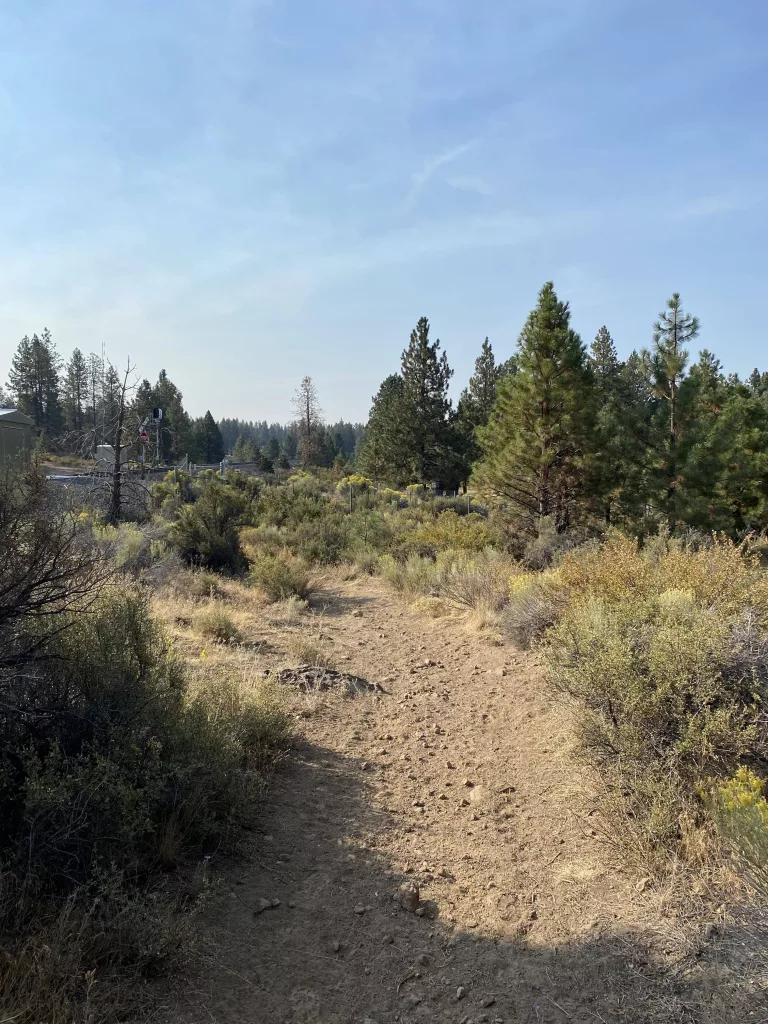 overall_area_to_be_treated298345