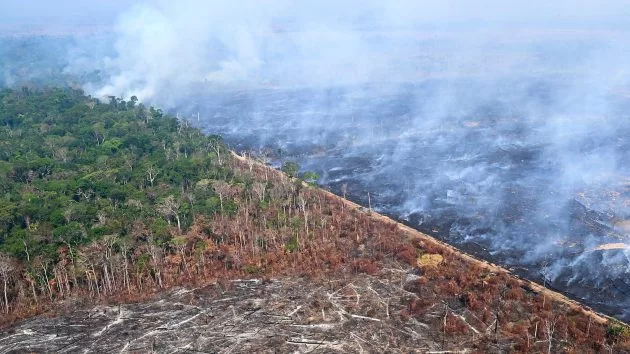 getty_br319-4-gty-er-240918_1726676557433_hpembed_3x2279808