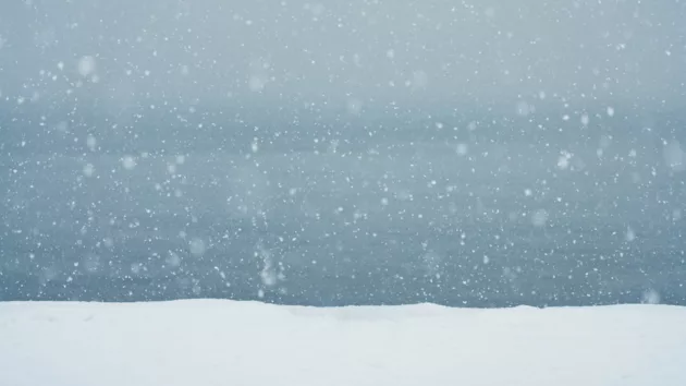 untitled20design20281229197602