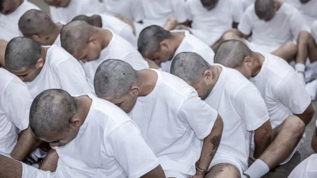 news_salvadordeported_32625445931