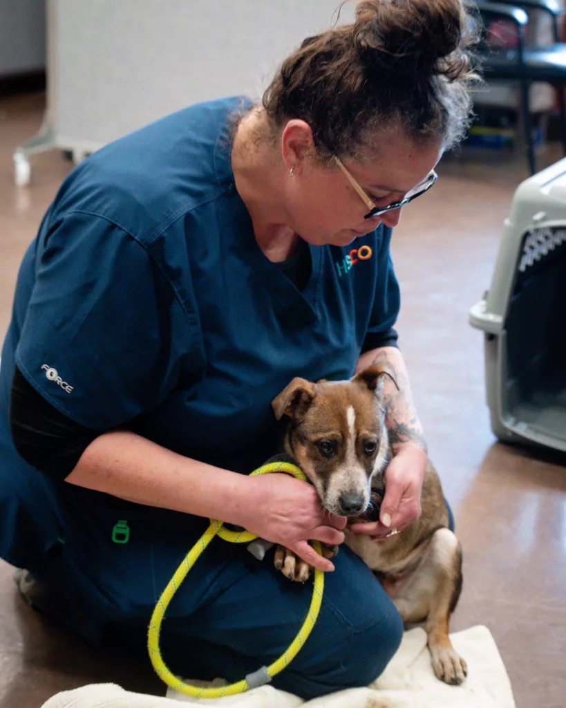 lori-weber-hsco-shelter-mgr-examines-puppy-upon-arrival-at-hsco-03-06-25628544