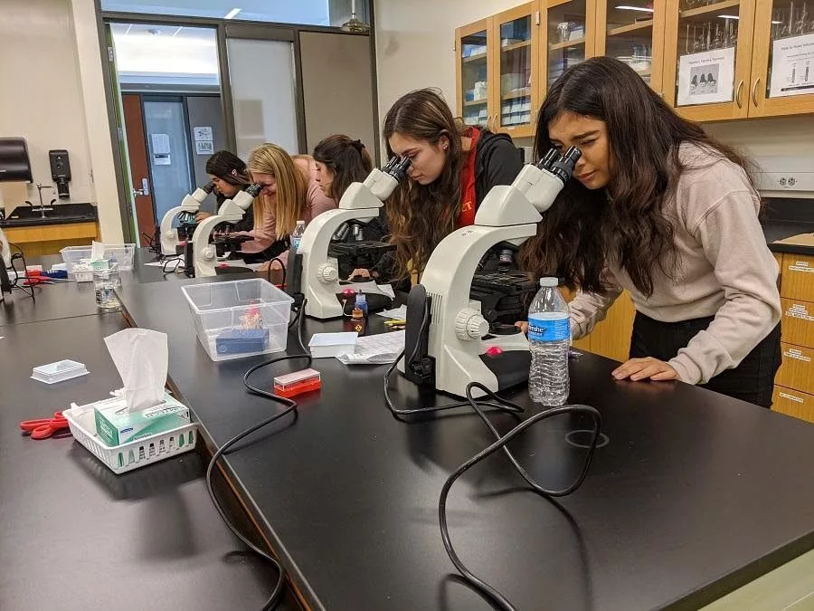 cocc_highschoolers837395