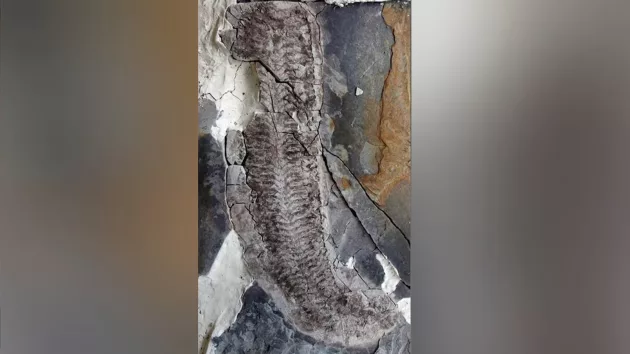 untitled20design20285829354922