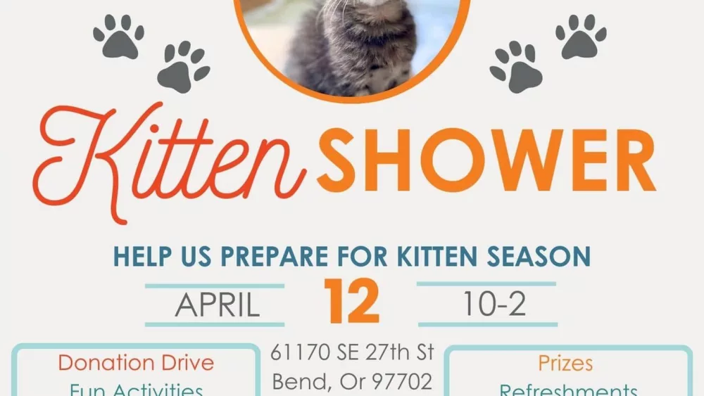 hsco-kitten-shower-2025-poster978561