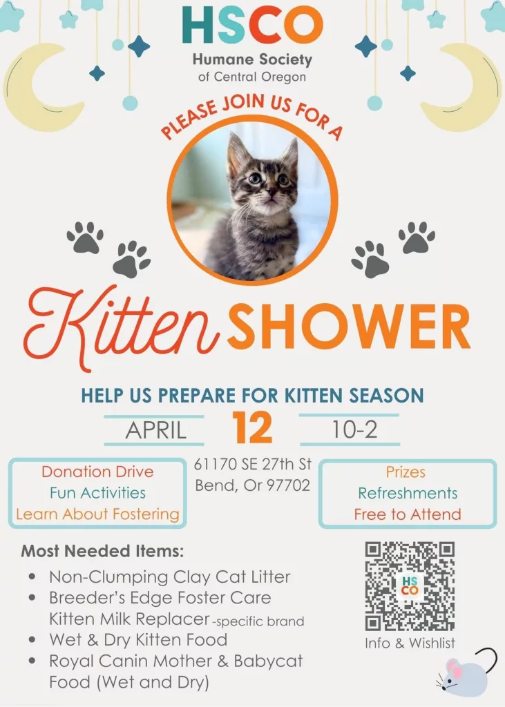 hsco-kitten-shower-2025-poster978561
