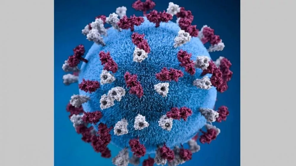 public-health-image-library-centers-for-disease-control-and-prevention-1000x563136947-1