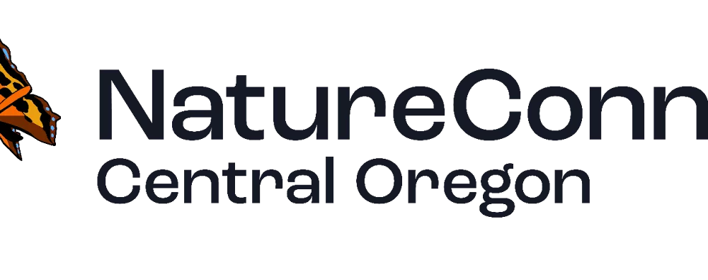 nature_connect854127