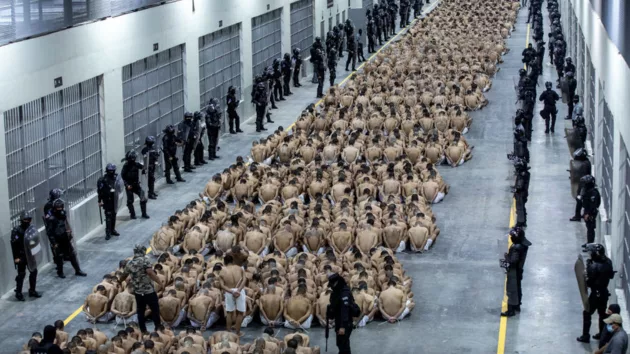 untitled20design20281229836252