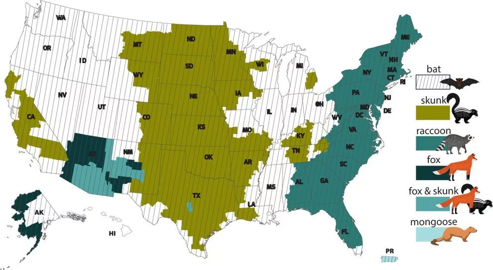 vs-rabies-infographic1467764