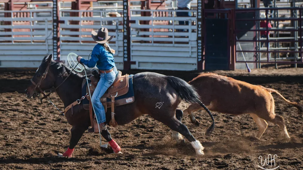 kingslee-green-team-roping212634