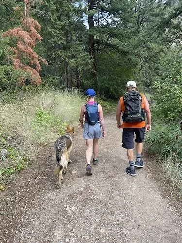 hiking_dog240724