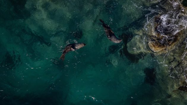 getty_ocean-3-gty-er-250618_1750278870618_hpembed_18x11914950
