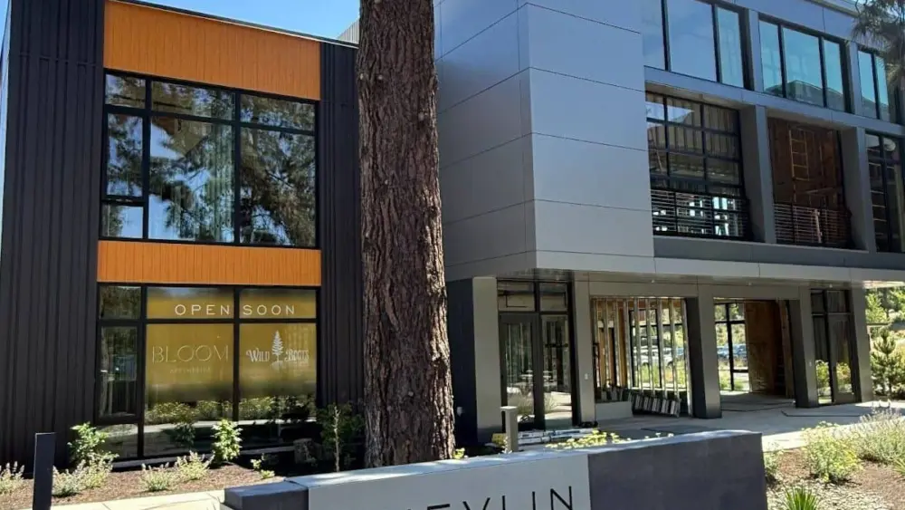 shevlin49088