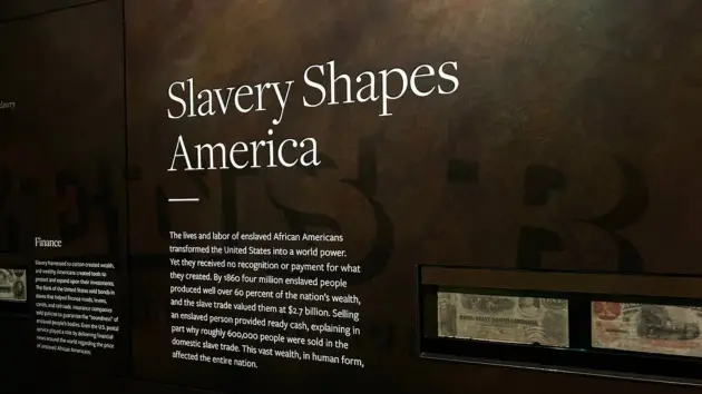 news_smithsonian_81925392231