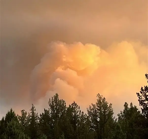 flat_fire230204