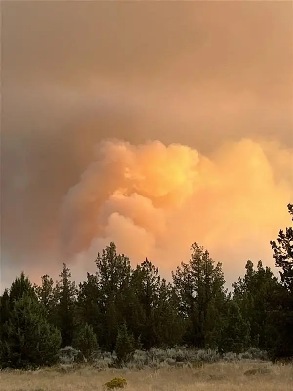 flat_fire230204