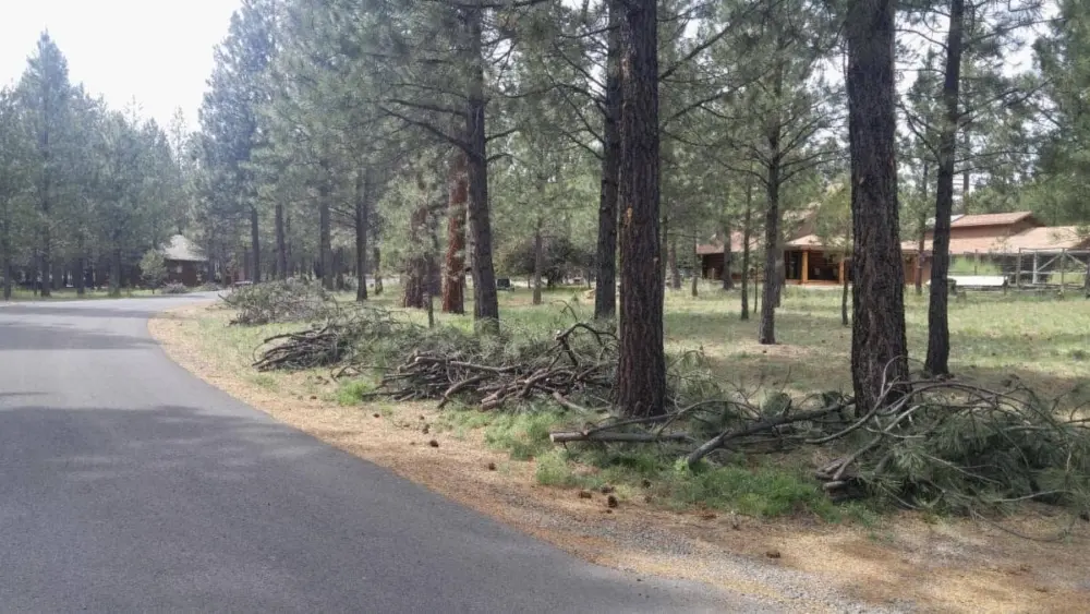 wildfire_risk305203