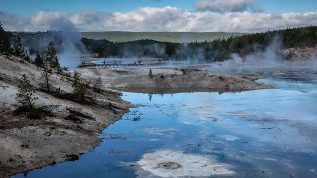 gettu_yellowstone409155