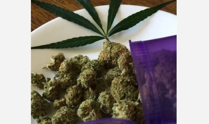 marijuana-featured-e1758898834811219155