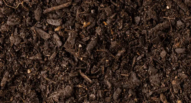 healthysoil-nhp-nov2025-e1755556046879-png