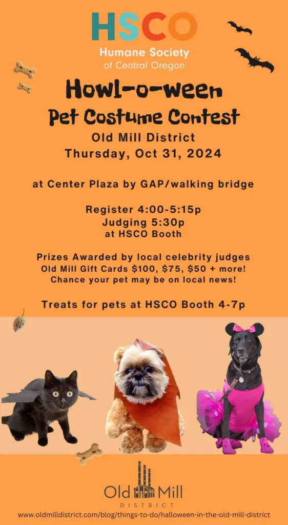 2024-halloween-omd-hsco-ad45933