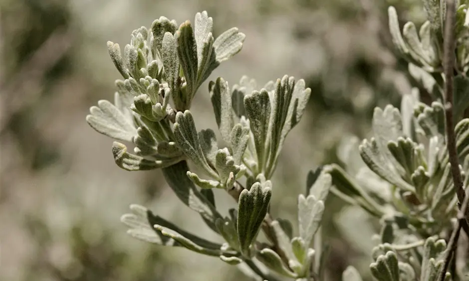 imgi_3_https3a2f2fcdn-evbuc-com2fimages2f11711702842f27469191738212f12foriginal282629