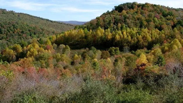 getty_allegheny-mountains_111325412016