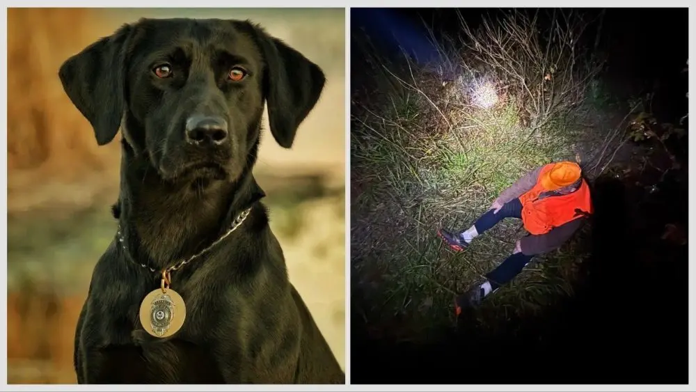 agfc-hunter-and-hunter-1000x563671167-1