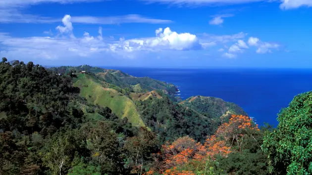 castara20getty464441