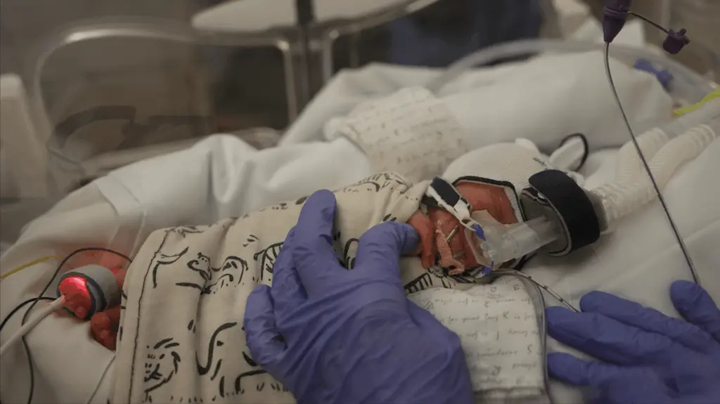 nava-at-st-charles671378