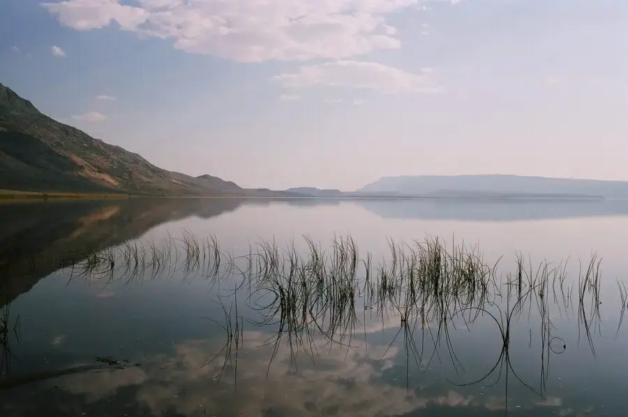 event-photo_hart-lake-north-shore-_john-burkhardt-e1765481911171-jpg