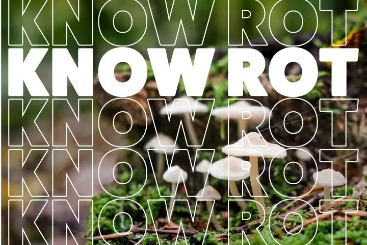 dpl_032026_know_rot_720-x-480806748