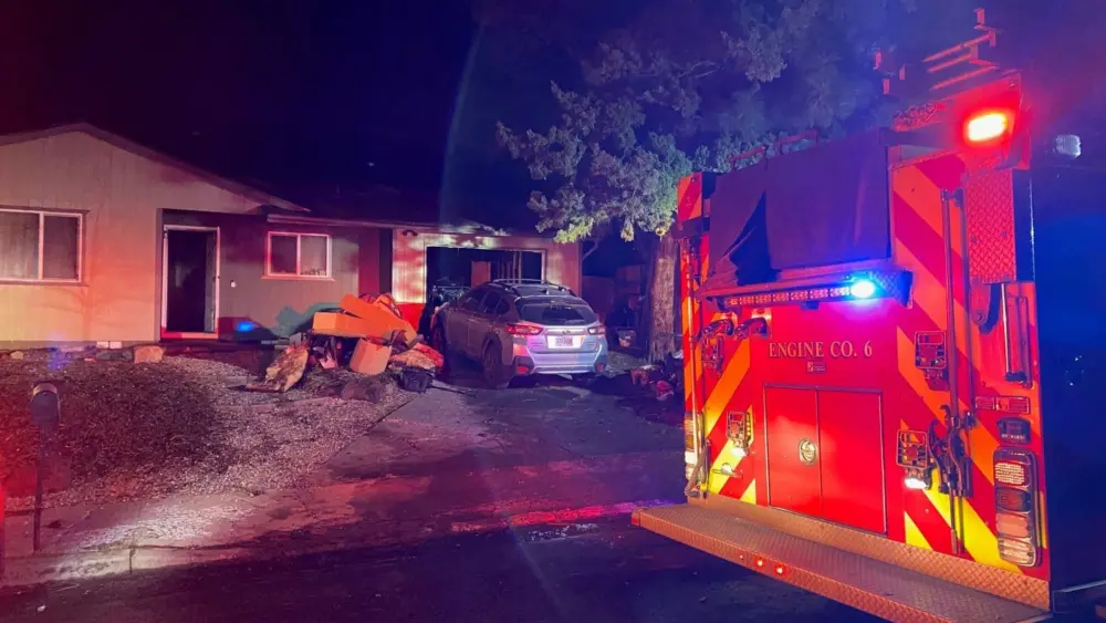 sedouglasfirephoto50579