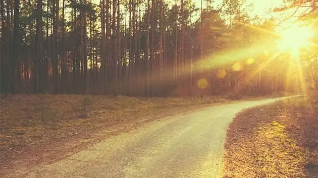 getty_121215_warmwinter198923