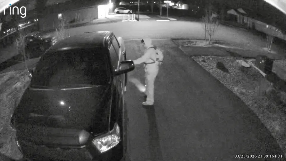 lapinevehicletheft1519545