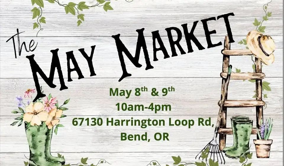 imgi_27_655518147_1267303252167954_4010646149542605187_n-png-4