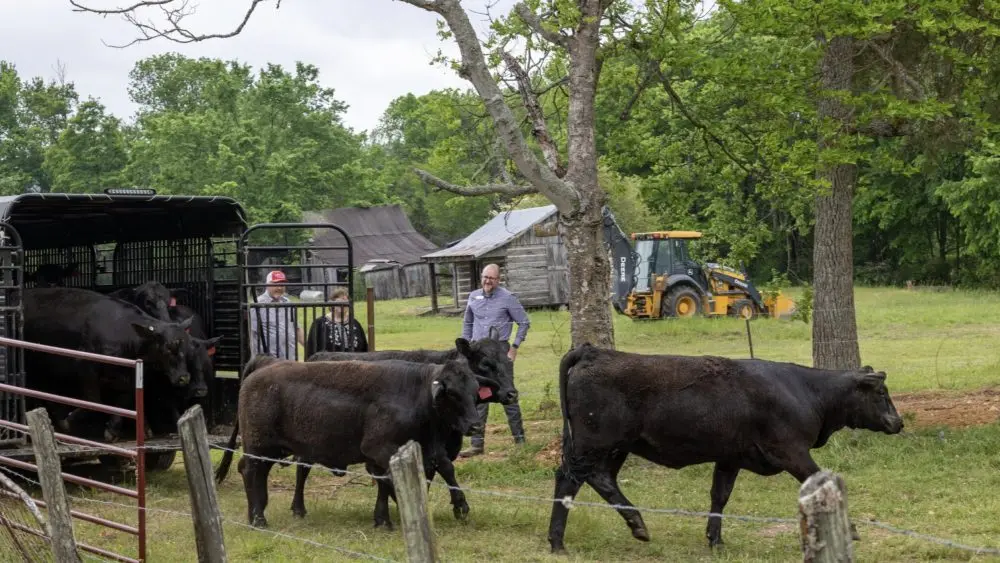 uaccb-chimney-rock-2-1000x5638440-1