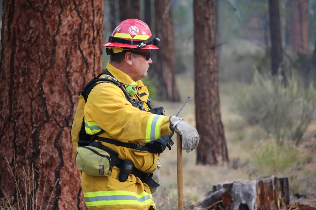 shevlin-prescribed-burn-101519-55-of-13559551