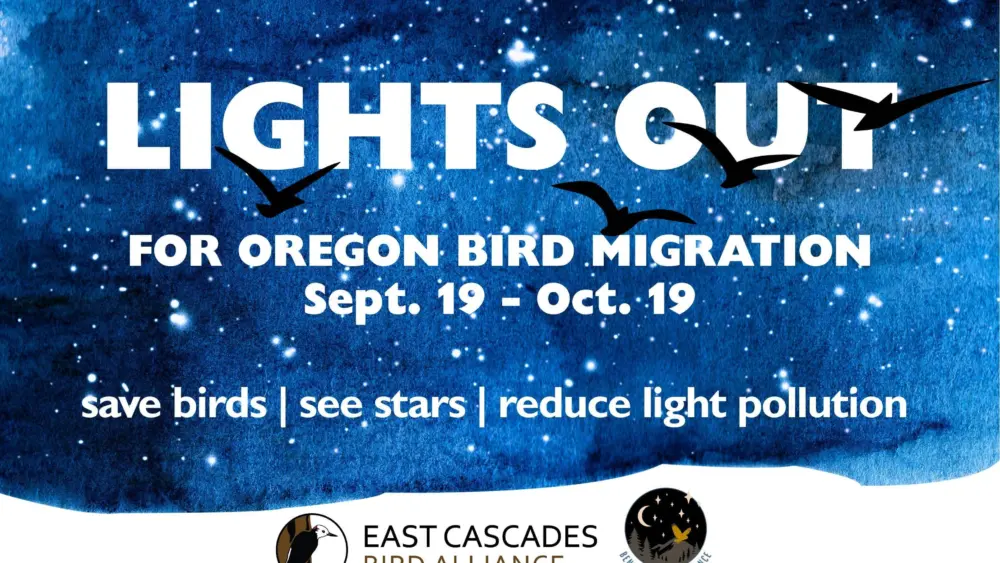lights-out-oregon927017