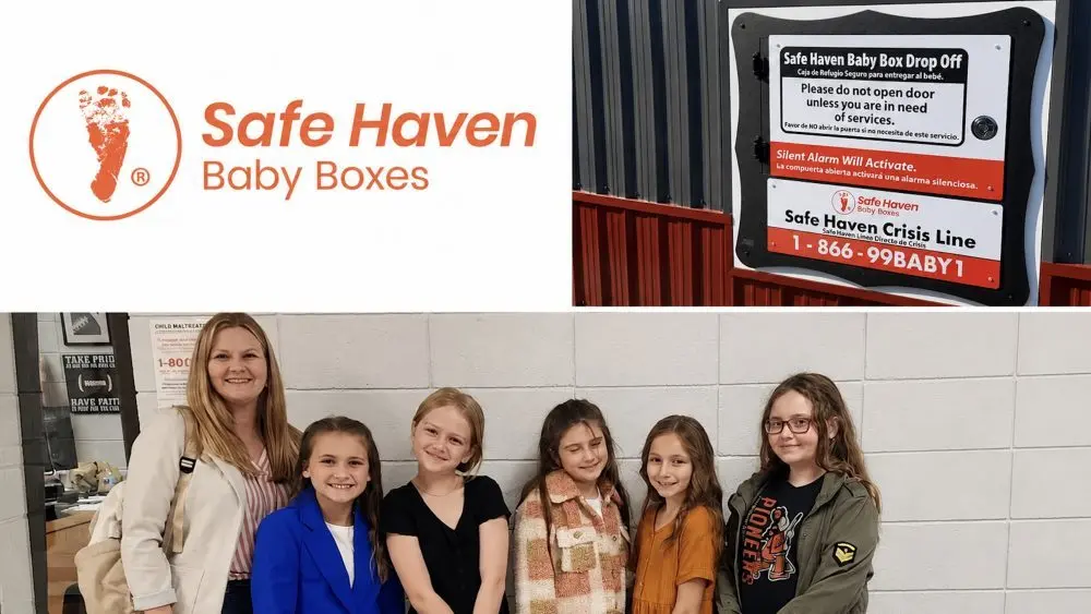 safe-haven-collage-1000x563478343-1