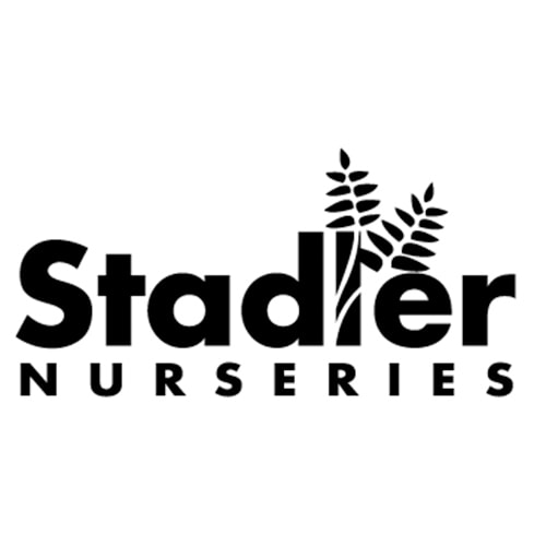 stadler-min