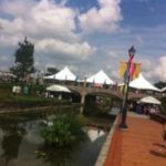 Festival-of-the-Arts-6.4.16-13