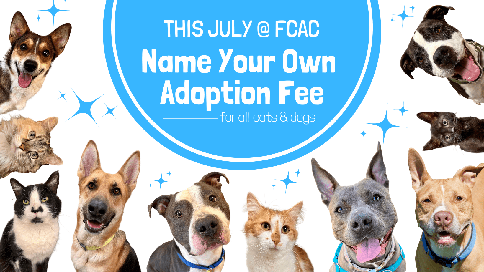 name-your-own-adoption-fee-fb-cover