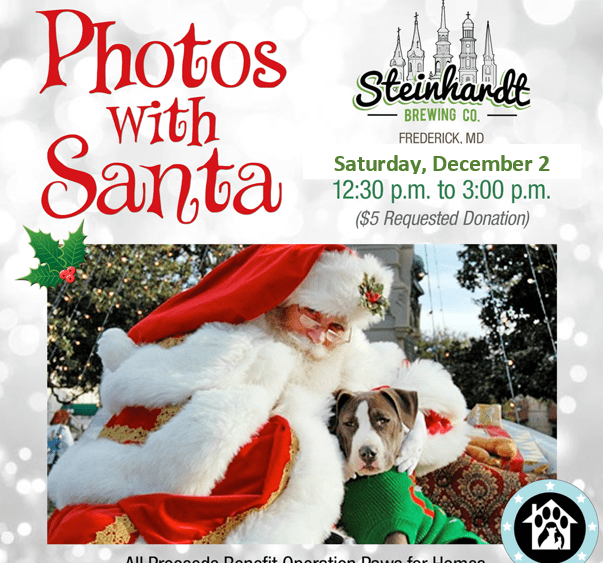 pics_with_santa_2023